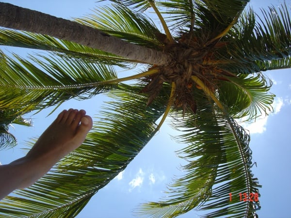 Palm Of Foot