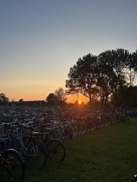 bikes parking on a field at sunset