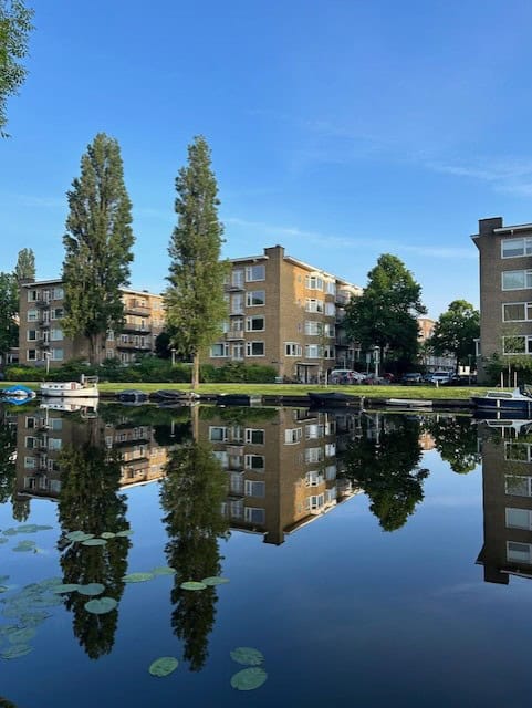 Brown buildings and trees reflected on a river