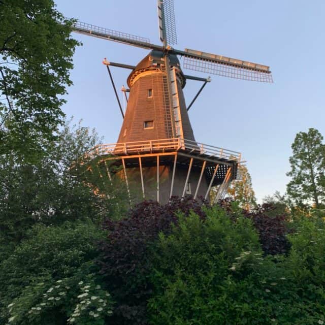 Windmill surrounded by green trees