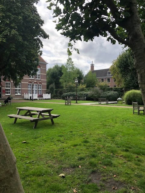 Picnic bench sits on green grass with trees and brick buildings