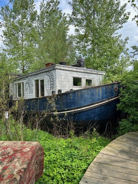 Old Boat of Blue and White surrounded by trees