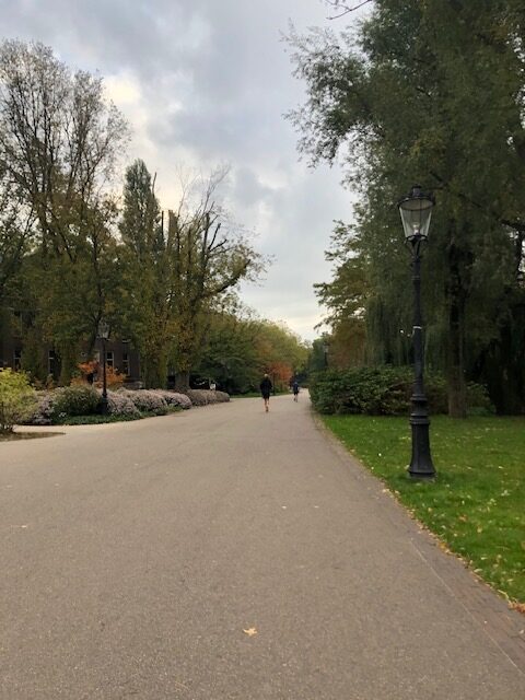 Fall park scene with walking path and trees on both sides in Amsterdam Oost Park