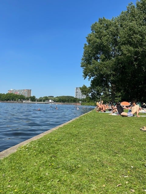 People sun bathing next to a river where people are swimming Amsterdam